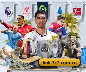 link-7c7.com.cn APP
